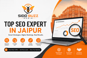 Top SEO Expert in Jaipur